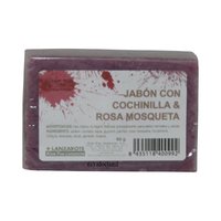 Aloe+ Jabon Cochinilla y Rosa Mosqueta, 100 g