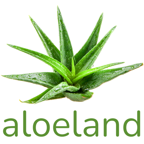 COSMO Aloe Vera Hautgel